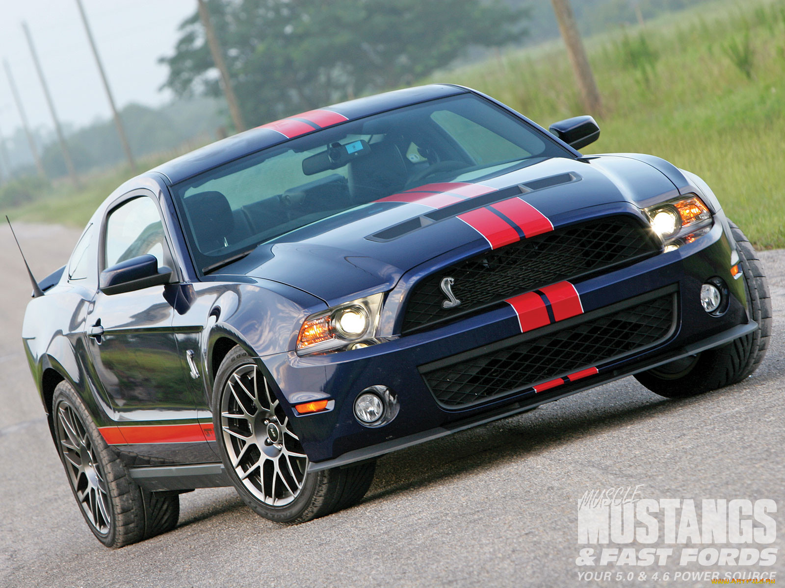 , mustang